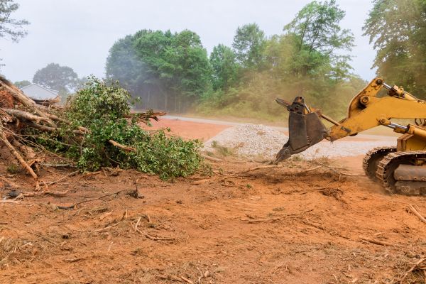 Cost of Forestry Mulching Service in Idaho Falls