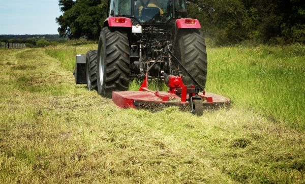 Cost of Brush Clearing Service in Idaho Falls