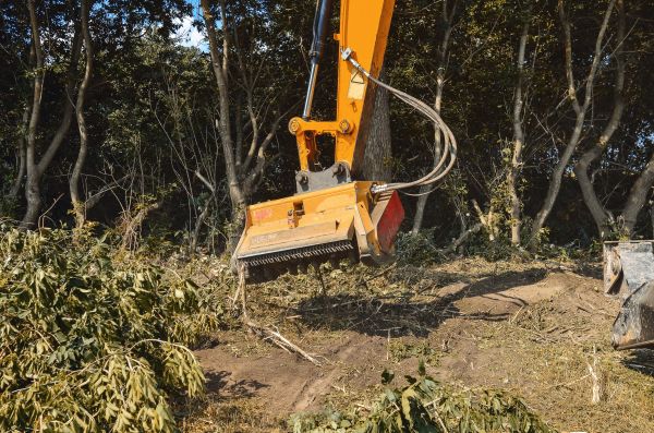 Cost of Brush Removal Service in Idaho Falls