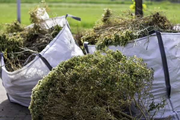 Cost of Bushes Clearing in Idaho Falls