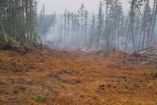 Cost of Hill Clearing in Idaho Falls