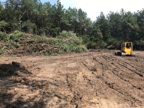 Cost of Thicket Clearing in Idaho Falls