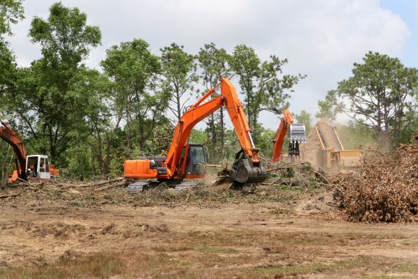 Cost of Commercial Lot Clearing in Idaho Falls