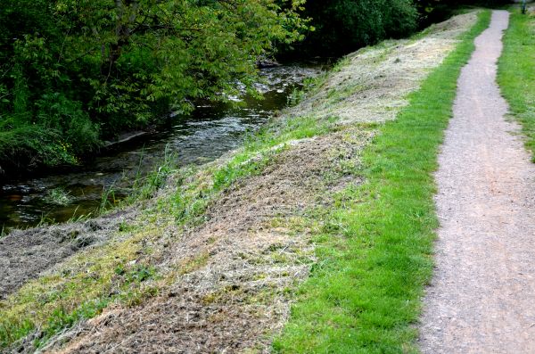 Cost of Trail Cutting in Idaho Falls